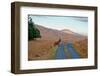 Deer Crossing Road on Jura-Jaime Pharr-Framed Photographic Print