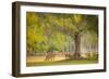 Deer Crossing-Dennis Goodman-Framed Photographic Print