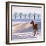 Deer Doe and Snowy Landscape-Alina G-Framed Photographic Print