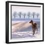 Deer Doe and Snowy Landscape-Alina G-Framed Photographic Print