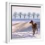 Deer Doe and Snowy Landscape-Alina G-Framed Photographic Print