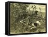 Deer Dog Hunt Austira 1891-null-Framed Stretched Canvas
