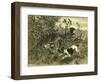 Deer Dog Hunt Austira 1891-null-Framed Premium Giclee Print