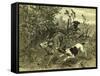 Deer Dog Hunt Austira 1891-null-Framed Stretched Canvas