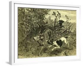 Deer Dog Hunt Austira 1891-null-Framed Giclee Print