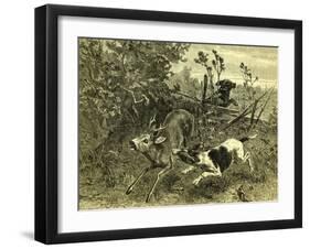 Deer Dog Hunt Austira 1891-null-Framed Giclee Print