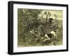 Deer Dog Hunt Austira 1891-null-Framed Giclee Print