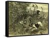 Deer Dog Hunt Austira 1891-null-Framed Stretched Canvas