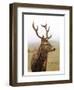 Deer During Foggy Morning-null-Framed Art Print