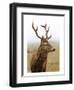 Deer During Foggy Morning-null-Framed Art Print