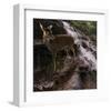 Deer Falls-Steve Hunziker-Framed Art Print