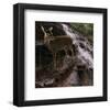 Deer Falls-Steve Hunziker-Framed Art Print