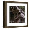 Deer Falls-Steve Hunziker-Framed Art Print