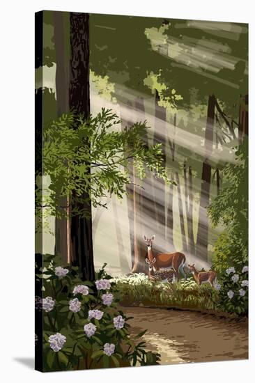 Deer Family and Forest-Lantern Press-Stretched Canvas