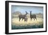 Deer Family in a Field of Yellow-Stephen Mitchell-Framed Art Print