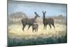 Deer Family in a Field of Yellow-Stephen Mitchell-Mounted Art Print