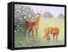 Deer Family-Pat Scott-Framed Stretched Canvas