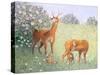 Deer Family-Pat Scott-Stretched Canvas