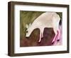 Deer from Anacortes, C.2018 (Watercolor on Paper)-Janel Bragg-Framed Giclee Print