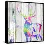Deer Gaze Colorful-OnRei-Framed Stretched Canvas