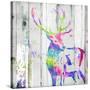 Deer Gaze Colorful-OnRei-Stretched Canvas