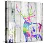 Deer Gaze Colorful-OnRei-Stretched Canvas