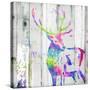 Deer Gaze Colorful-OnRei-Stretched Canvas