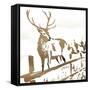 Deer Gaze-OnRei-Framed Stretched Canvas
