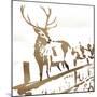 Deer Gaze-OnRei-Mounted Art Print