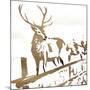 Deer Gaze-OnRei-Mounted Art Print
