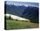 Deer Grazing Along Hurricane Ridge-James Randklev-Stretched Canvas