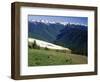 Deer Grazing Along Hurricane Ridge-James Randklev-Framed Photographic Print