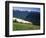 Deer Grazing Along Hurricane Ridge-James Randklev-Framed Photographic Print