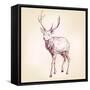 Deer Hand Drawn Vector Llustration Realistic Sketch-VladisChern-Framed Stretched Canvas