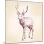 Deer Hand Drawn Vector Llustration Realistic Sketch-VladisChern-Mounted Art Print