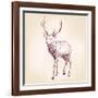 Deer Hand Drawn Vector Llustration Realistic Sketch-VladisChern-Framed Art Print