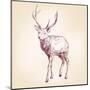 Deer Hand Drawn Vector Llustration Realistic Sketch-VladisChern-Mounted Art Print