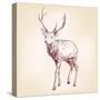 Deer Hand Drawn Vector Llustration Realistic Sketch-VladisChern-Stretched Canvas