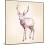 Deer Hand Drawn Vector Llustration Realistic Sketch-VladisChern-Mounted Art Print