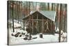 Deer Hanging by Rustic Cabin in Winter-null-Stretched Canvas