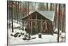 Deer Hanging by Rustic Cabin in Winter-null-Stretched Canvas