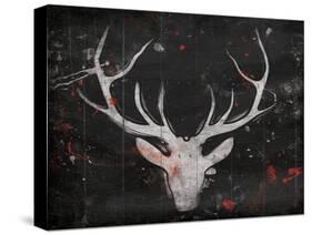 Deer Head-OnRei-Stretched Canvas