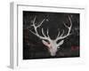 Deer Head-OnRei-Framed Art Print