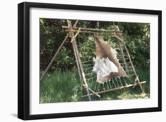 Deer Hide Stretched on Sapling Frame to Be Scraped and Tanned, Heritage Hill, Green Bay, Wisconsin-null-Framed Giclee Print