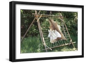 Deer Hide Stretched on Sapling Frame to Be Scraped and Tanned, Heritage Hill, Green Bay, Wisconsin-null-Framed Giclee Print