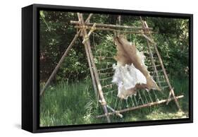 Deer Hide Stretched on Sapling Frame to Be Scraped and Tanned, Heritage Hill, Green Bay, Wisconsin-null-Framed Stretched Canvas
