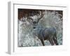 Deer I-Cecile Broz-Framed Giclee Print