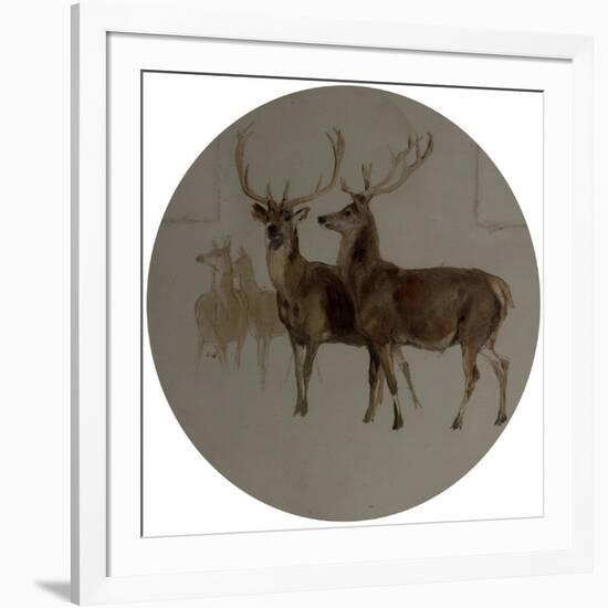 Deer in a Landscape (Studies of Deer) (Oil on Canvas)-Edwin Landseer-Framed Giclee Print