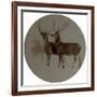 Deer in a Landscape (Studies of Deer) (Oil on Canvas)-Edwin Landseer-Framed Giclee Print