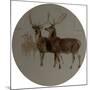 Deer in a Landscape (Studies of Deer) (Oil on Canvas)-Edwin Landseer-Mounted Giclee Print